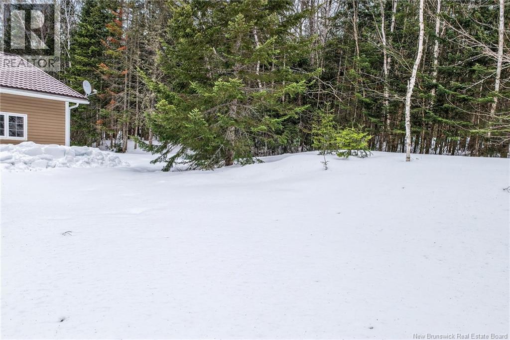 2382 Route 490, Ammon, New Brunswick  E1G 4R8 - Photo 44 - NB134743
