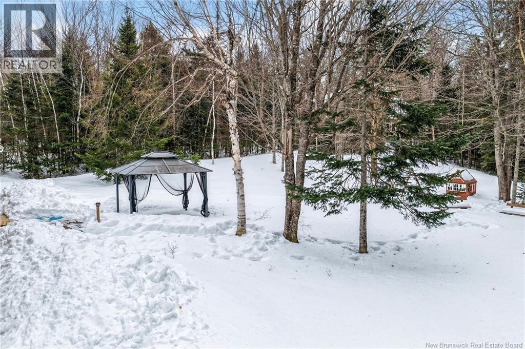 2382 Route 490, Ammon, New Brunswick  E1G 4R8 - Photo 47 - NB134743