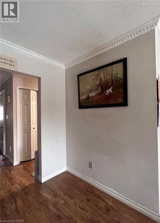 135 Essling Avenue, Hamilton, Ontario  L9B 2H9 - Photo 9 - 40810230