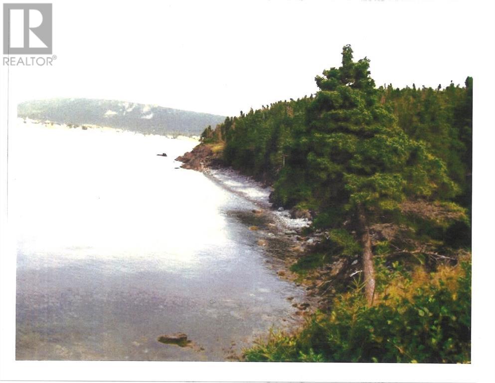0 Old Light House Road, Hearts Content, Newfoundland & Labrador  A0B 1Z0 - Photo 5 - 1294788