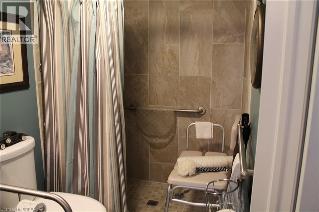 27 Collingdon Drive, Brantford, Ontario  N3S 3C9 - Photo 19 - 40808019