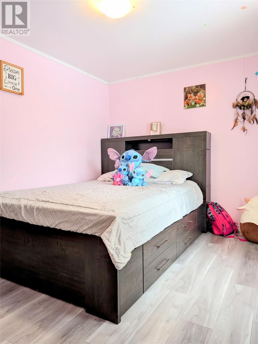 607 Mckays Road, Mckay's, Newfoundland & Labrador  A0N 1G0 - Photo 10 - 1295023