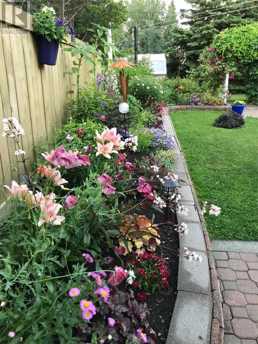 64 Goodyear Avenue, Grand Falls-Windsor, Newfoundland & Labrador  A2A 1J3 - Photo 24 - 1295080