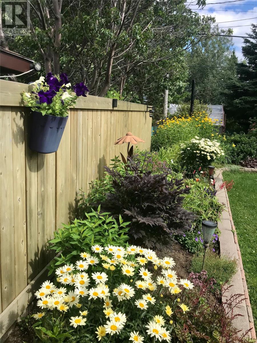 64 Goodyear Avenue, Grand Falls-Windsor, Newfoundland & Labrador  A2A 1J3 - Photo 25 - 1295080