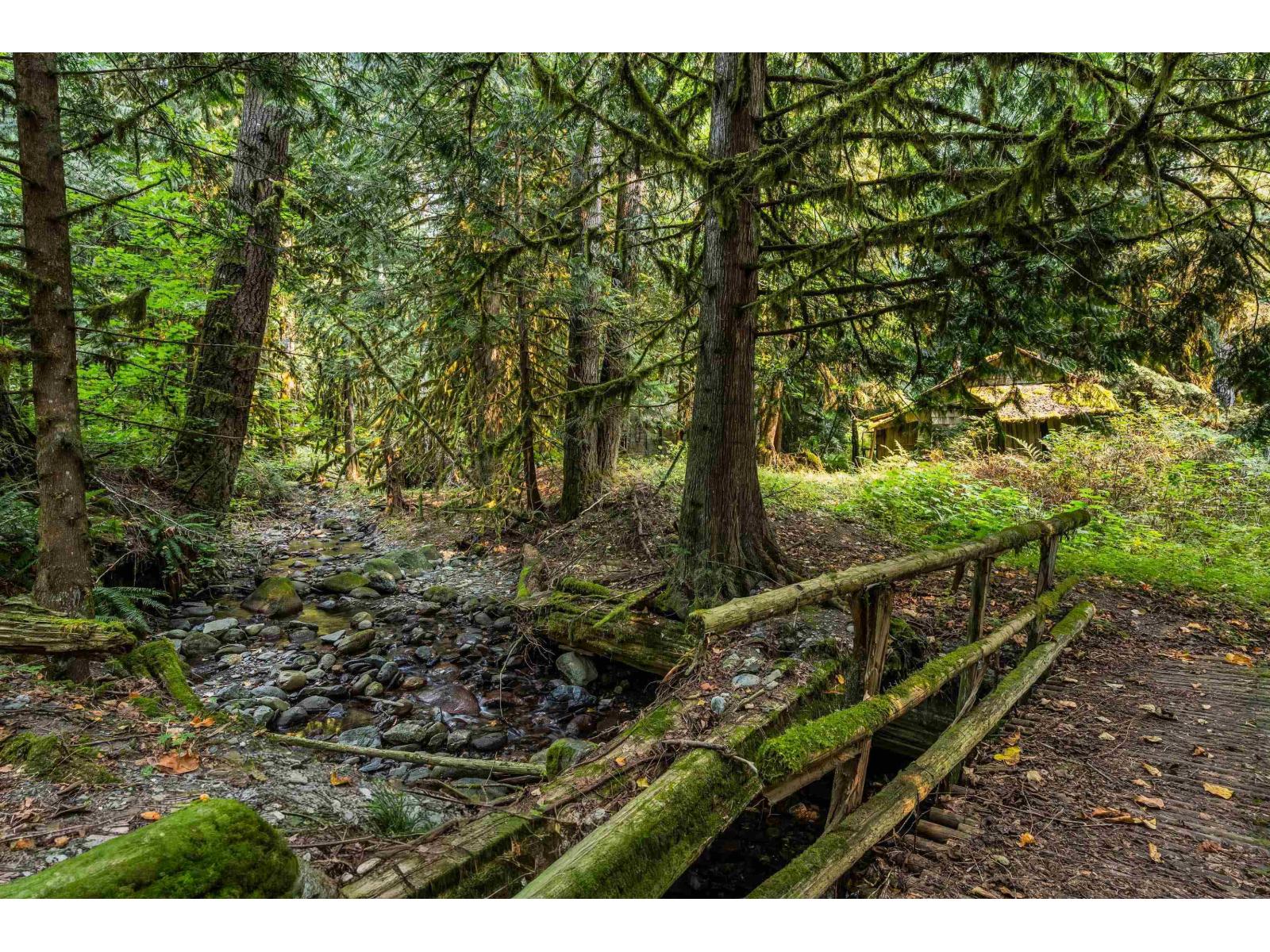 55270 Chilliwack Bench Fsr Road, Chilliwack River Valley, Chilliwack, British Columbia  V4Z 1B3 - Photo 37 - R3096091