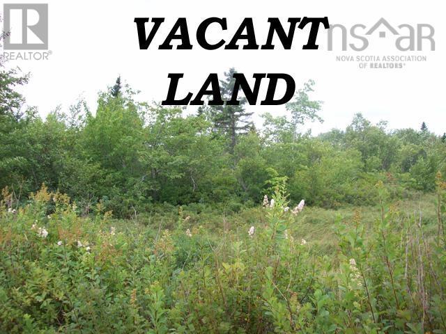 Lot New Elm Road, Chelsea, Nova Scotia  B4V 2W5 - Photo 1 - 202604173