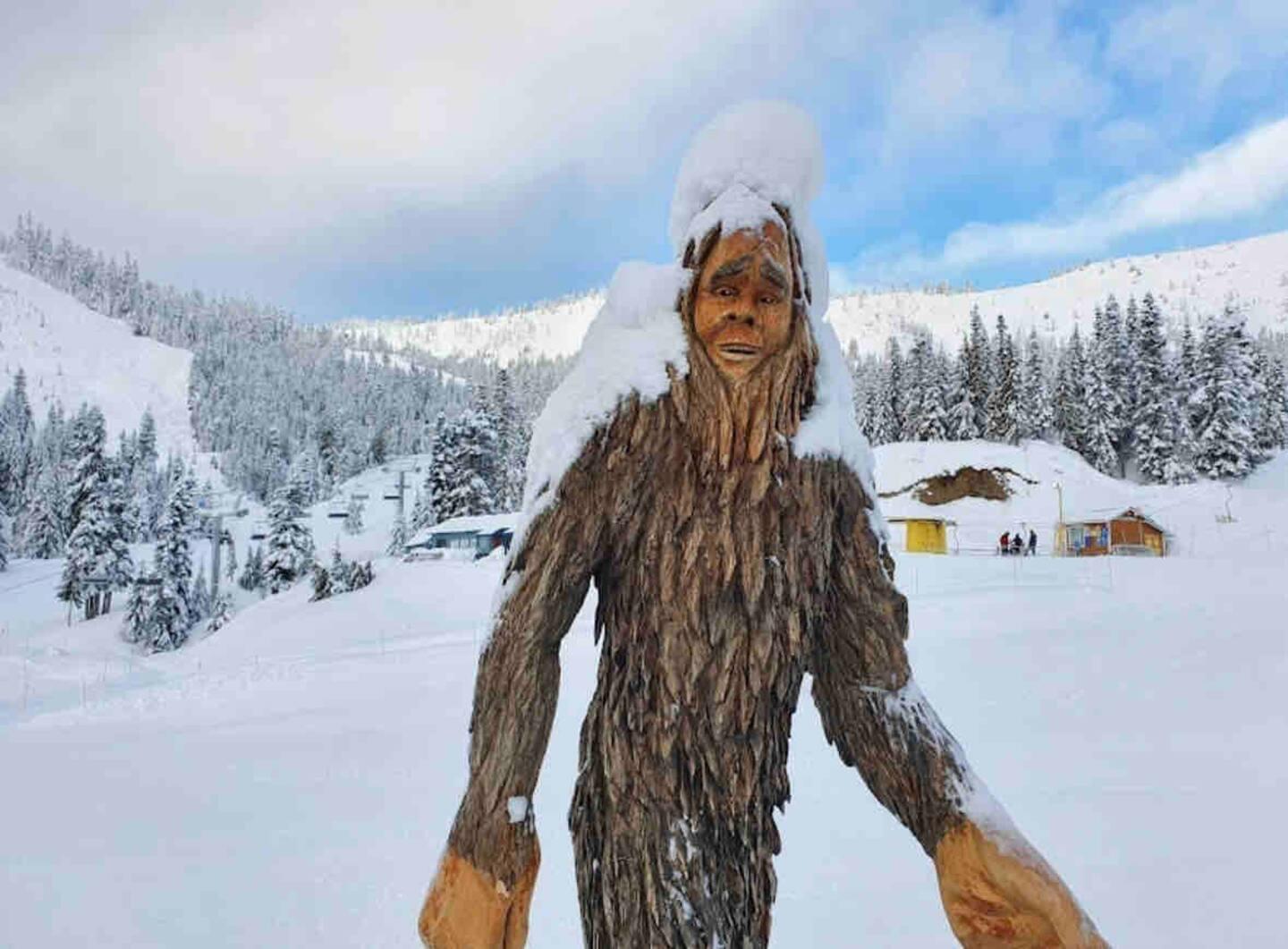 46913 Laurel Place, Mission, British Columbia  V0M 1A1 - Photo 32 - R3097190