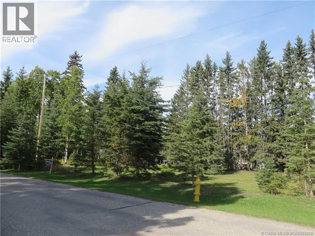 6312 47 Avenue, Rocky Mountain House, Alberta  T4T 1G3 - Photo 5 - A2117827