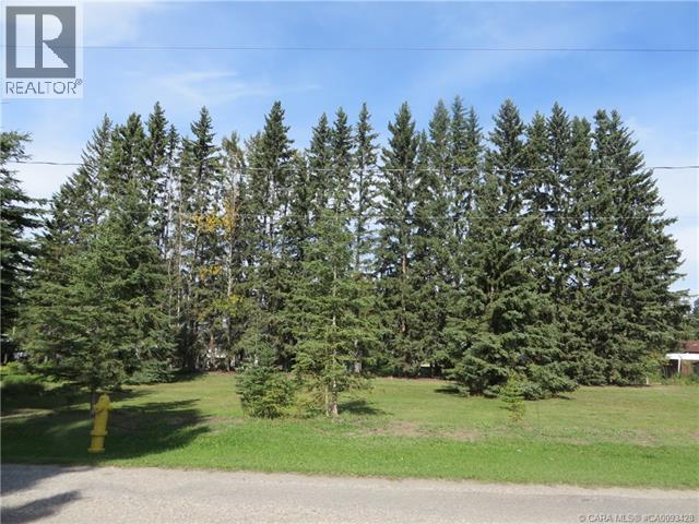 6312 47 Avenue, Rocky Mountain House, Alberta  T4T 1G3 - Photo 4 - A2117827