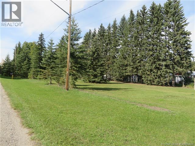 6312 47 Avenue, Rocky Mountain House, Alberta  T4T 1G3 - Photo 14 - A2117827