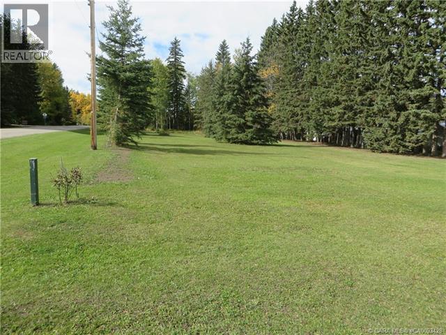 6312 47 Avenue, Rocky Mountain House, Alberta  T4T 1G3 - Photo 20 - A2117827