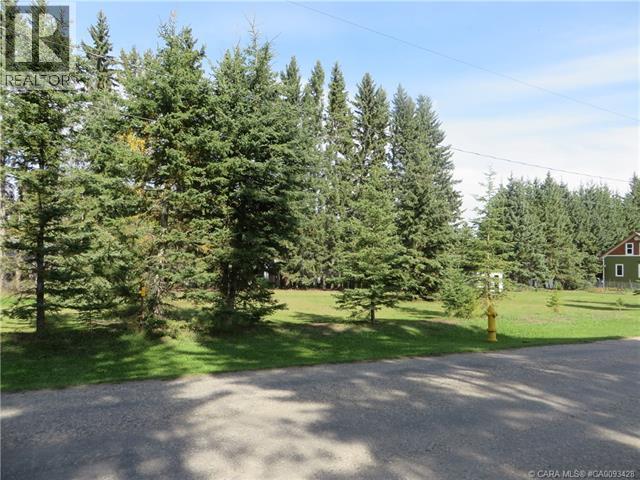 6312 47 Avenue, Rocky Mountain House, Alberta  T4T 1G3 - Photo 11 - A2117827