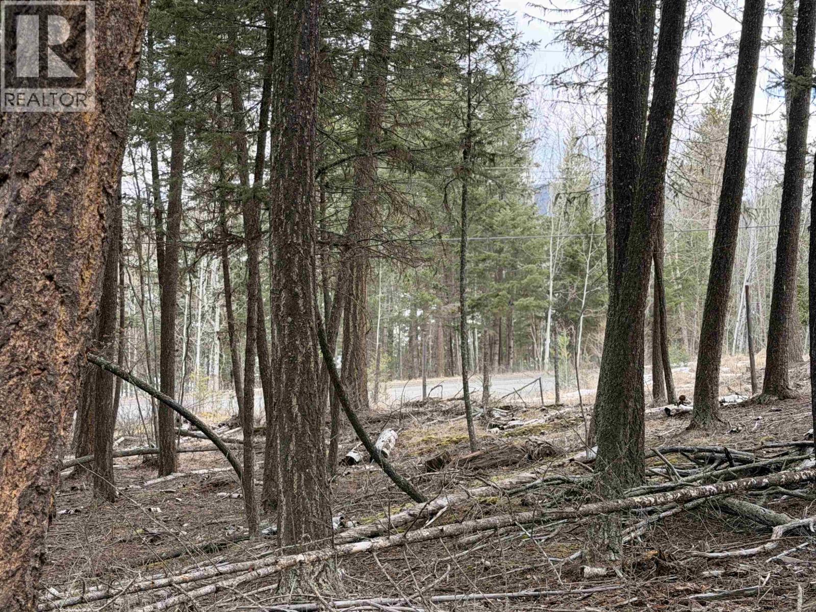 Lot 41 Kallum Drive, 100 Mile House, British Columbia  V0K 2Z0 - Photo 10 - R3097537