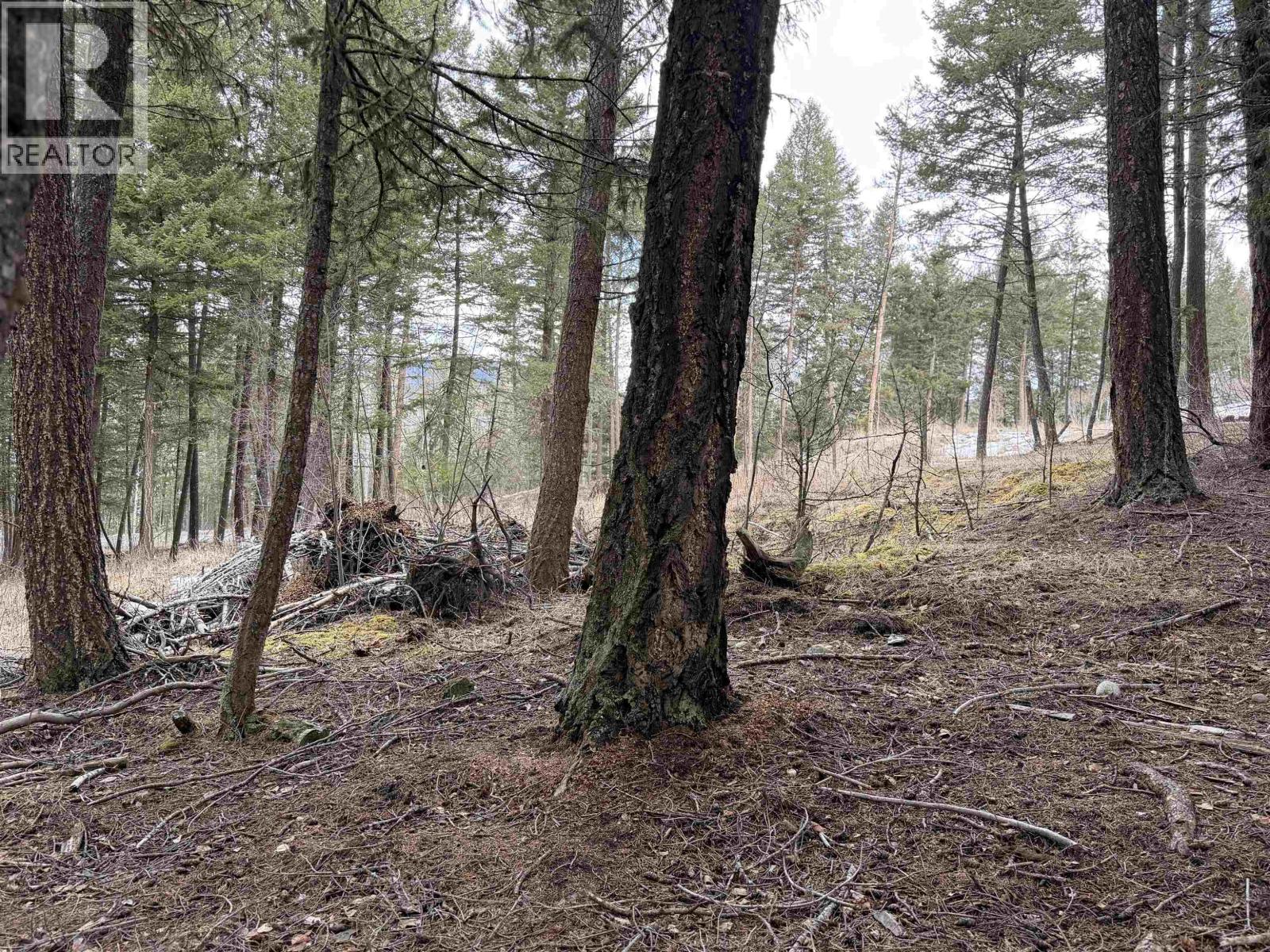 Lot 41 Kallum Drive, 100 Mile House, British Columbia  V0K 2Z0 - Photo 6 - R3097537