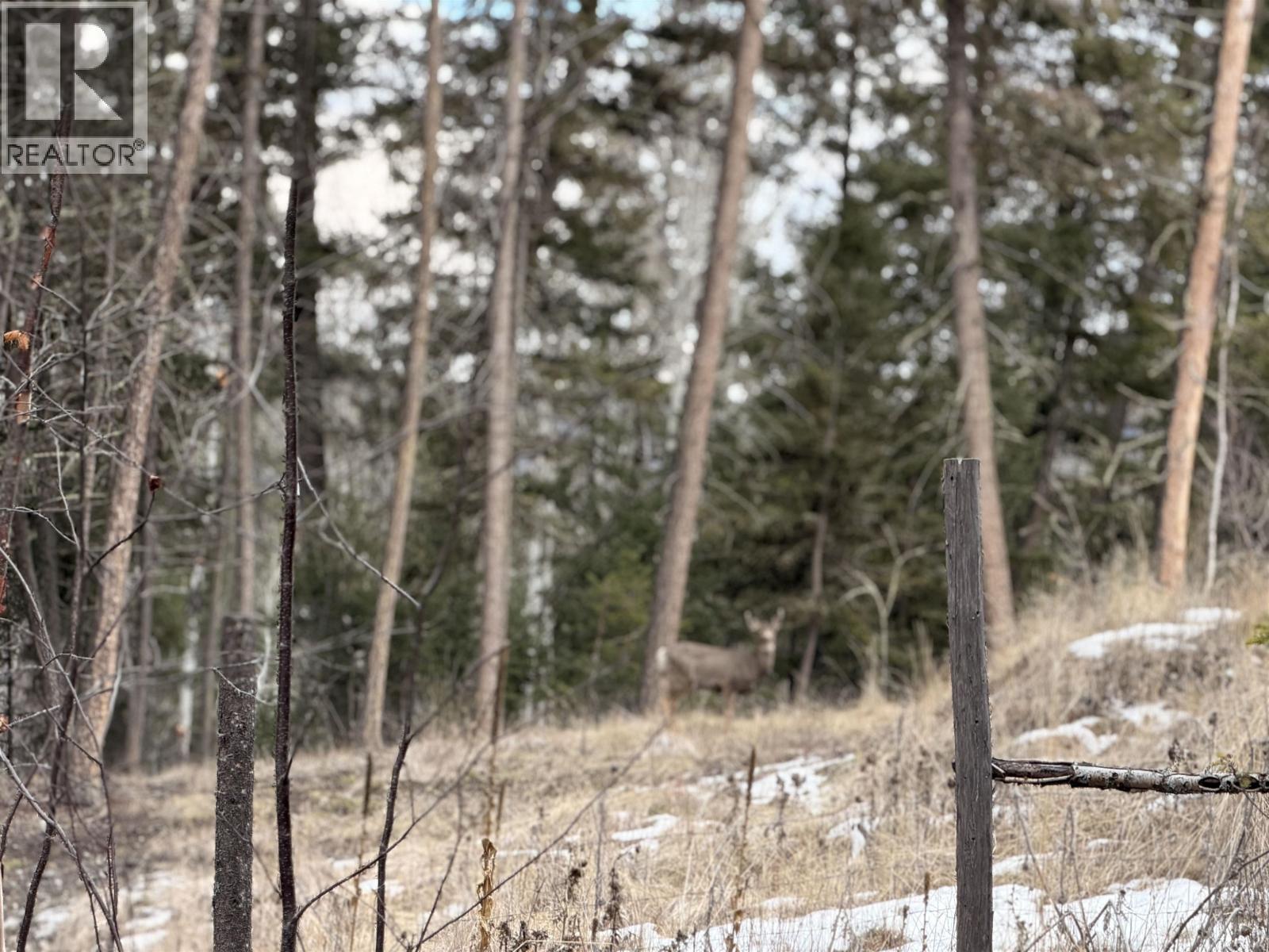 Lot 41 Kallum Drive, 100 Mile House, British Columbia  V0K 2Z0 - Photo 8 - R3097537