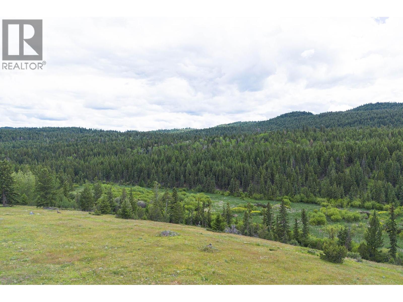 Legal SCUITTO Lake Kamloops Photo 28