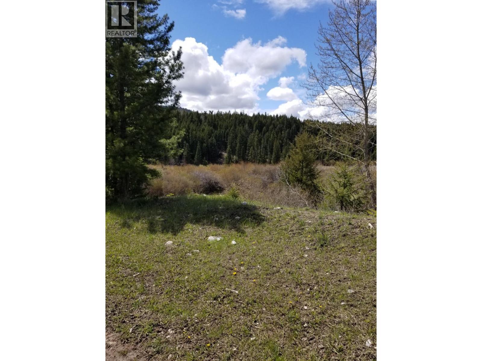 Legal SCUITTO Lake Kamloops Photo 19