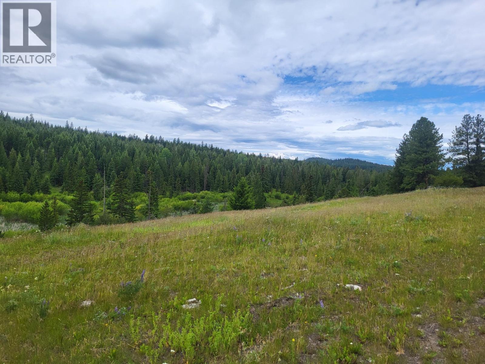 Legal SCUITTO Lake Kamloops Photo 50