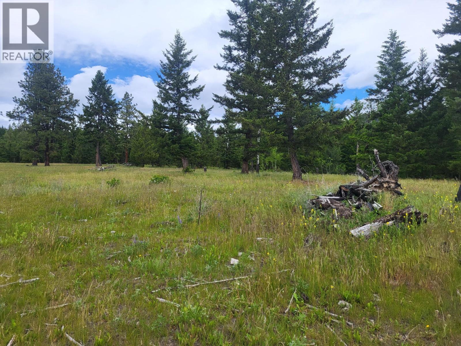 Legal SCUITTO Lake Kamloops Photo 52