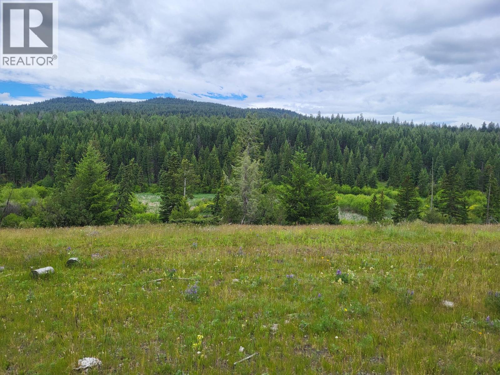 Legal SCUITTO Lake Kamloops Photo 49