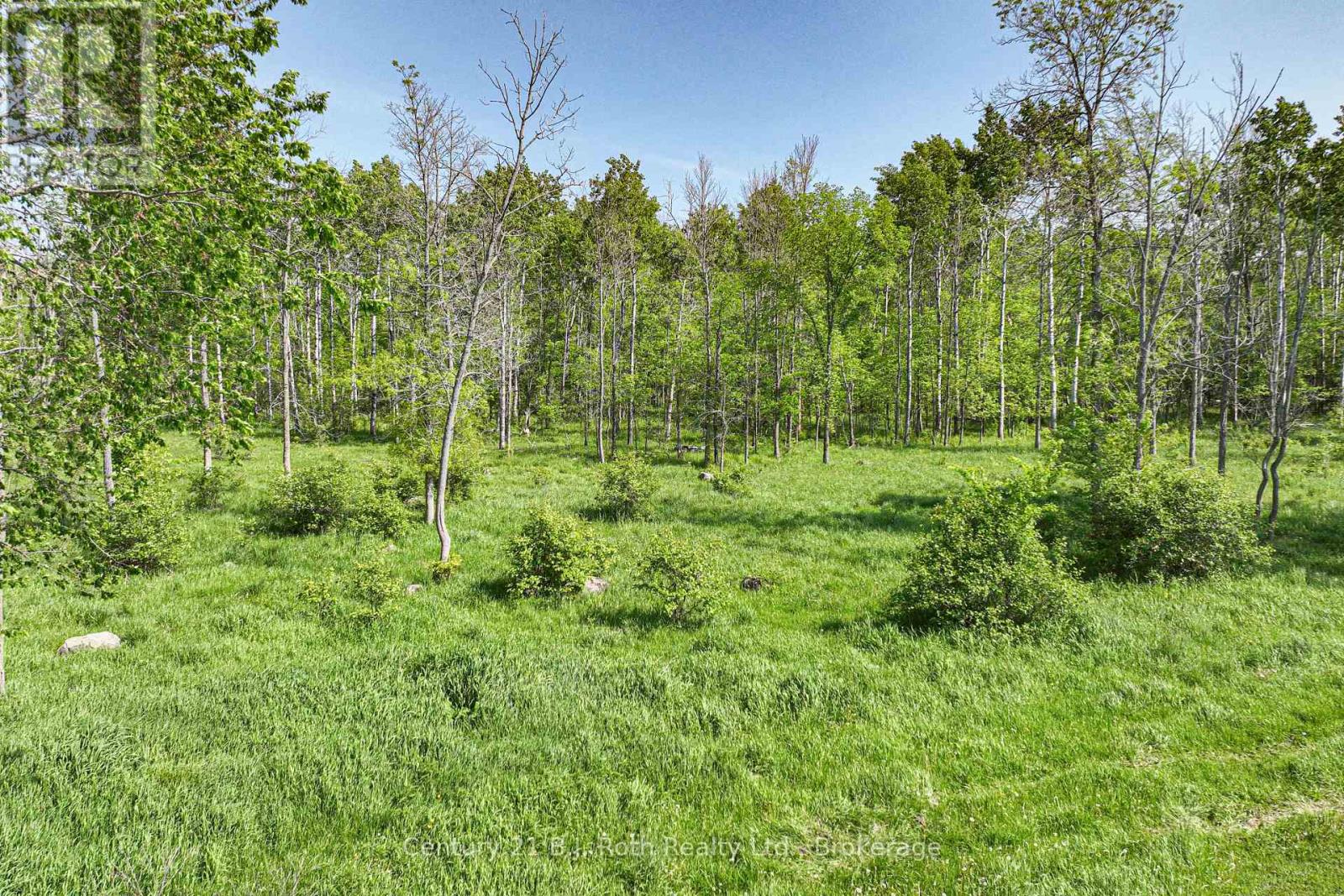 1579 Wainman Line, Severn, Ontario  L0K 1E0 - Photo 9 - S12334470