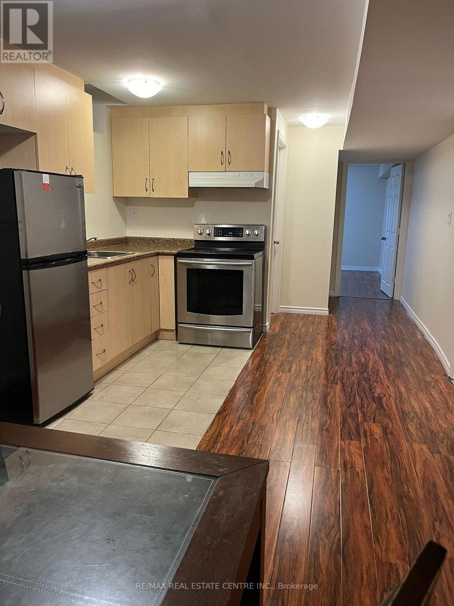 Basement - 6585 Forest Park Drive, Mississauga, Ontario  L5N 6X9 - Photo 8 - W12859932