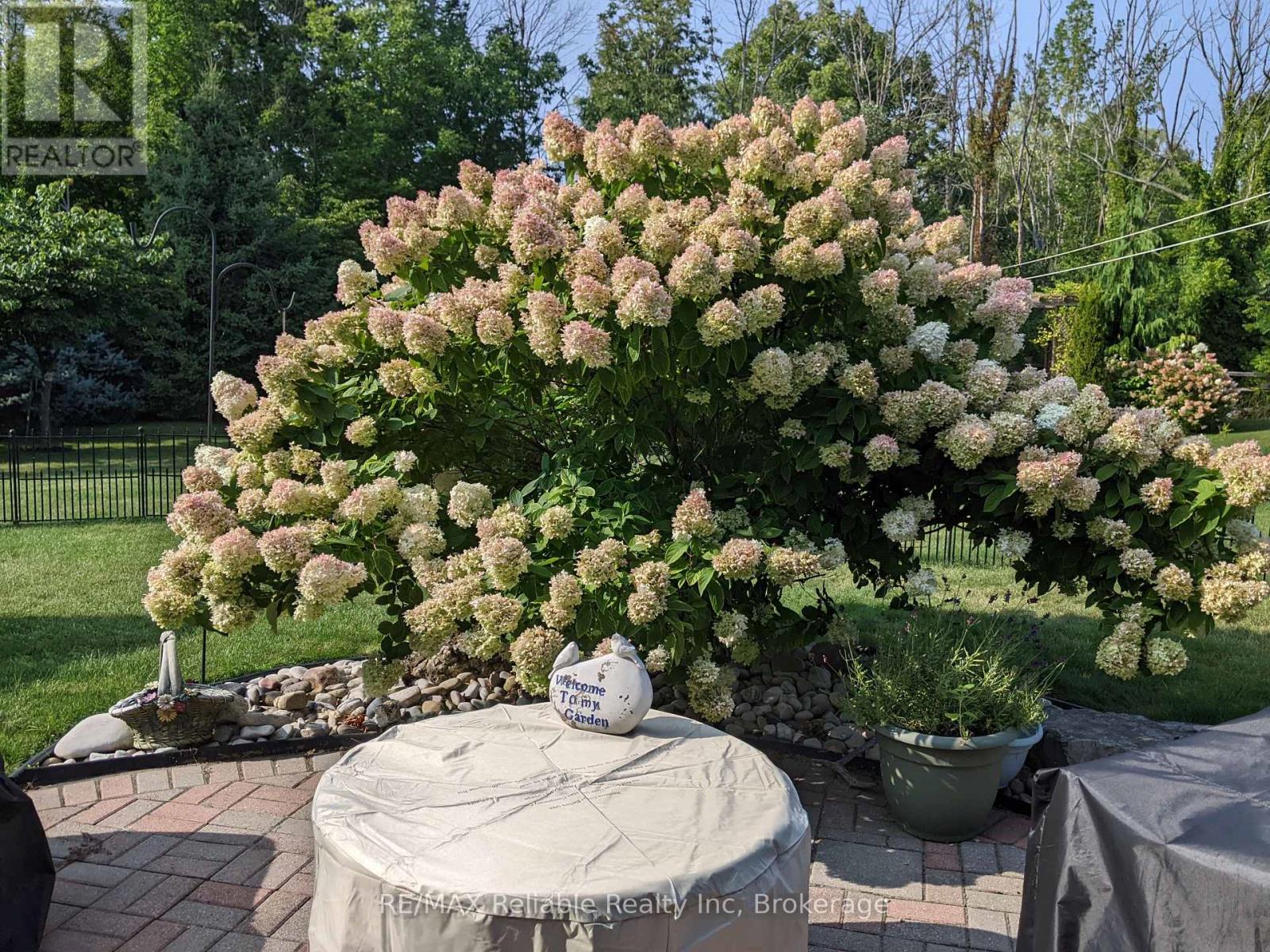 74767 Elm Crescent, Bluewater, Ontario  N0M 1G0 - Photo 14 - X12748092