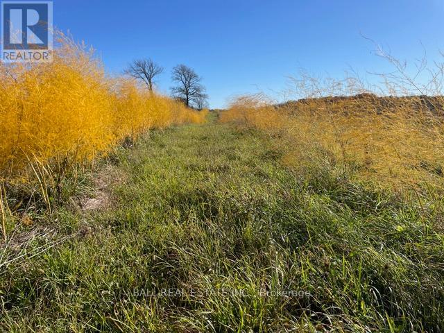 239 Concession 11w, Trent Hills, Ontario  K0L 1Y0 - Photo 21 - X12861196