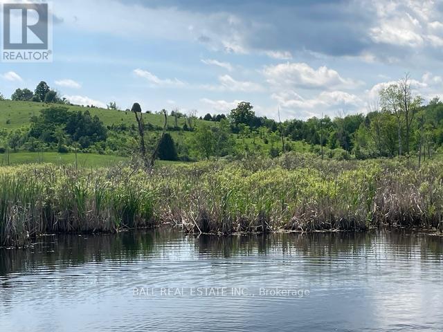 239 Concession 11w, Trent Hills, Ontario  K0L 1Y0 - Photo 12 - X12861196