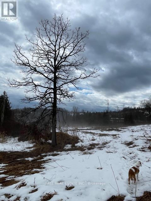 239 Concession 11w, Trent Hills, Ontario  K0L 1Y0 - Photo 32 - X12861196