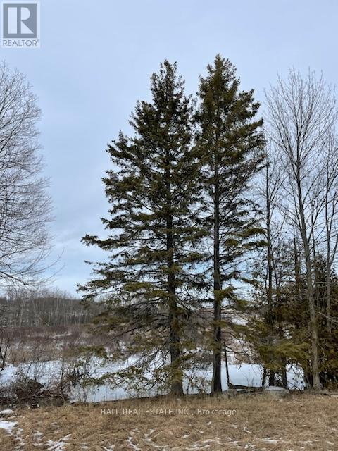 239 Concession 11w, Trent Hills, Ontario  K0L 1Y0 - Photo 35 - X12861196