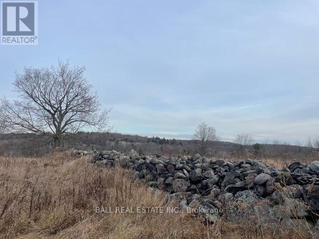 239 Concession 11w, Trent Hills, Ontario  K0L 1Y0 - Photo 37 - X12861196