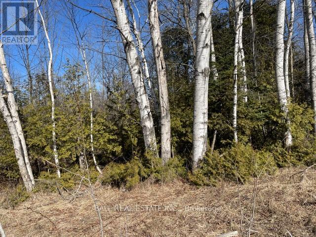 239 Concession 11w, Trent Hills, Ontario  K0L 1Y0 - Photo 34 - X12861196