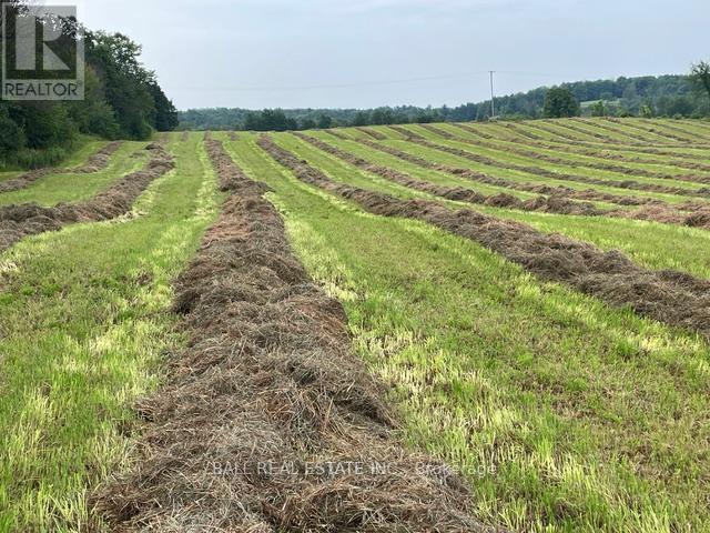 239 Concession 11w, Trent Hills, Ontario  K0L 1Y0 - Photo 33 - X12861196