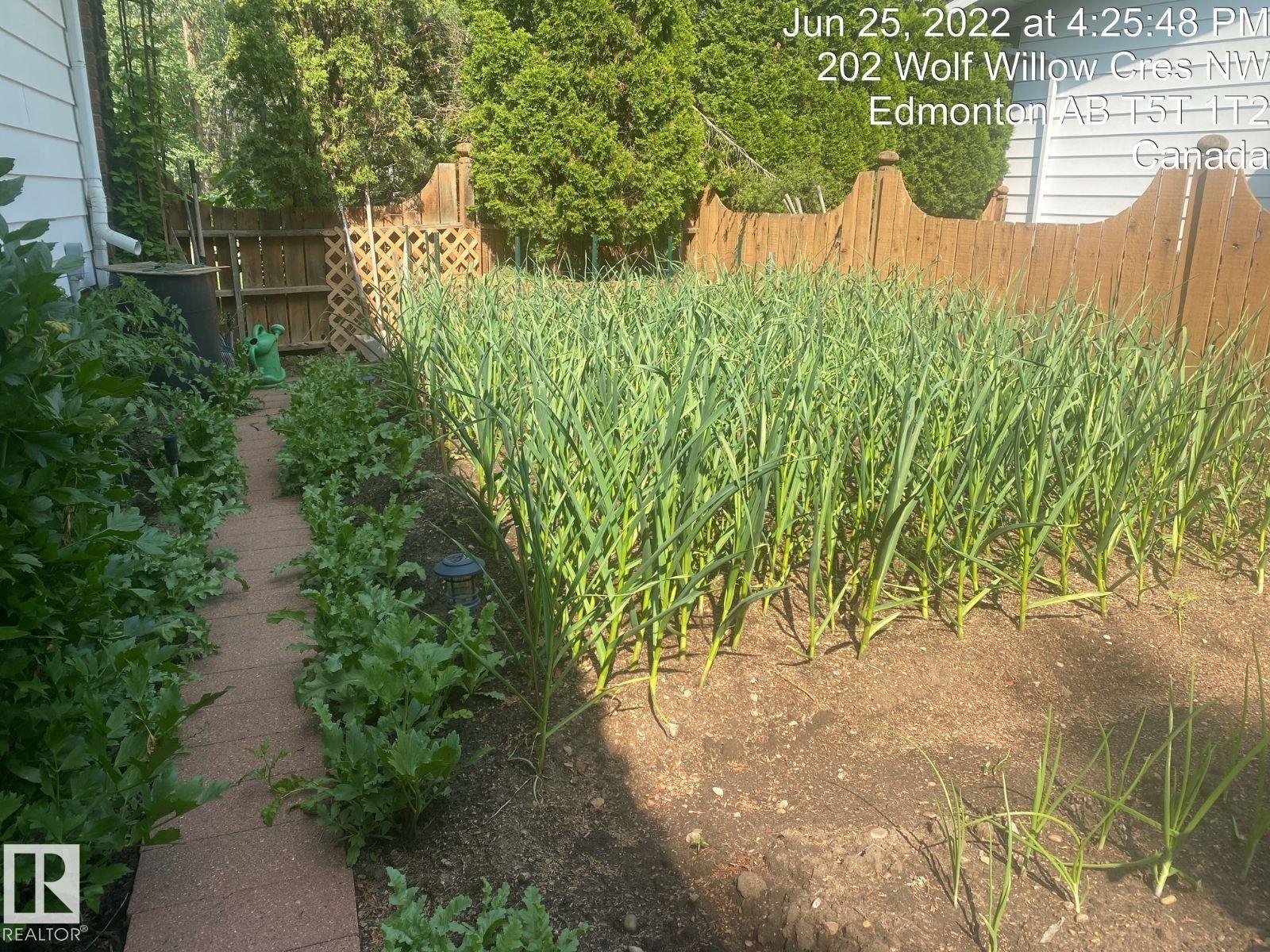 206 Wolf Willow Cr Nw, Edmonton, Alberta  T5T 1T2 - Photo 14 - E4476629