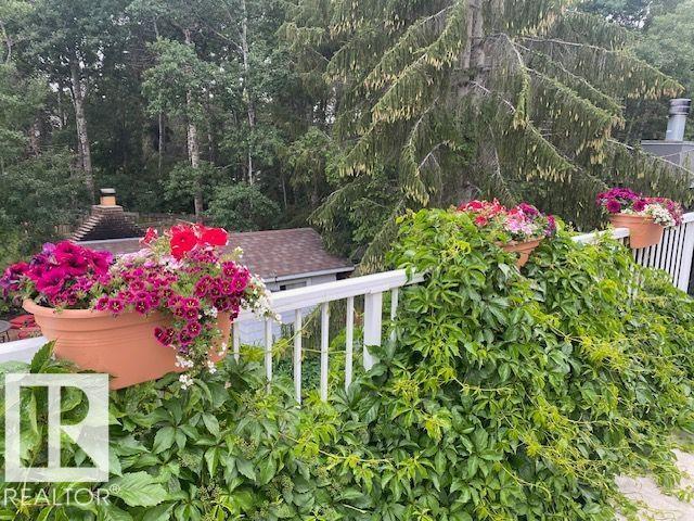 206 Wolf Willow Cr Nw, Edmonton, Alberta  T5T 1T2 - Photo 6 - E4476629