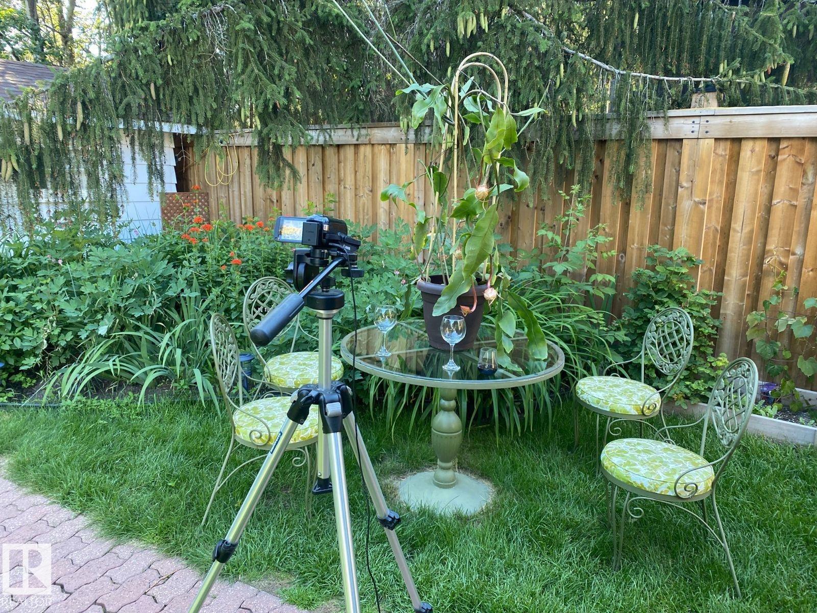 206 Wolf Willow Cr Nw, Edmonton, Alberta  T5T 1T2 - Photo 9 - E4476629