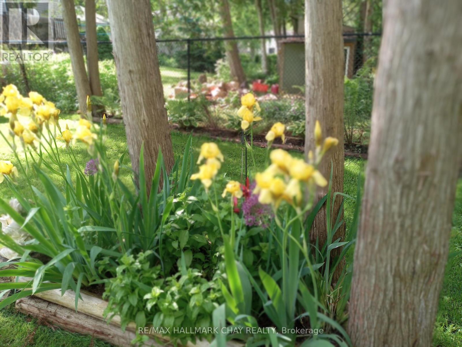 3214 Cove Avenue, Innisfil, Ontario  L9S 2K7 - Photo 14 - N12823980