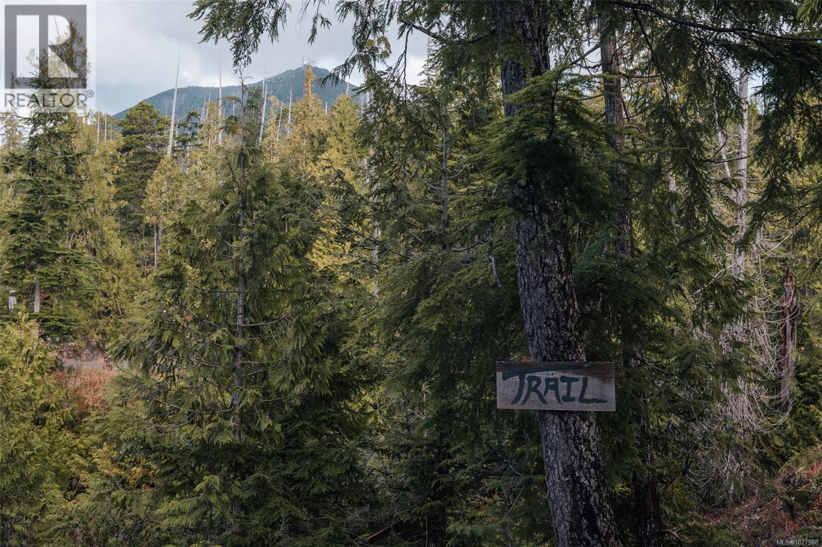 Lot 4 Hawkes Rd, Ucluelet, British Columbia  V0R 3A0 - Photo 14 - 1027988