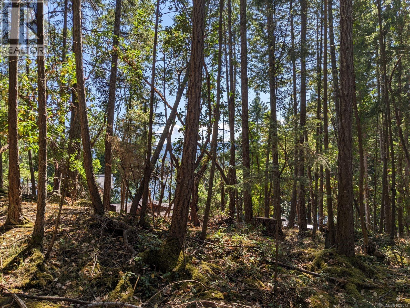 Lot 108 Herring Hts, Mudge Island, British Columbia  V9X 1P7 - Photo 2 - 1028071