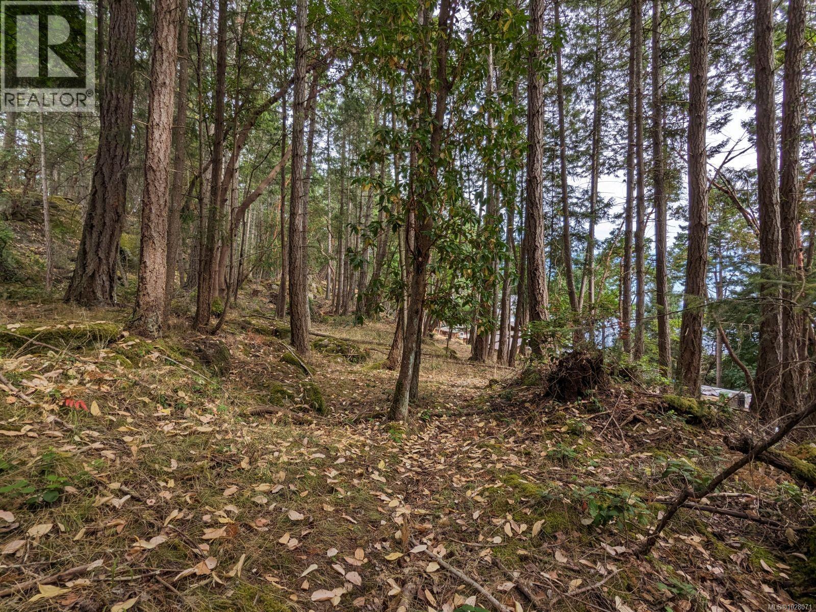 Lot 108 Herring Hts, Mudge Island, British Columbia  V9X 1P7 - Photo 4 - 1028071