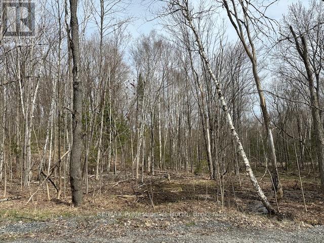 Lot Silverwood Road, Minden Hills, Ontario  K0M 2K0 - Photo 12 - X12863774