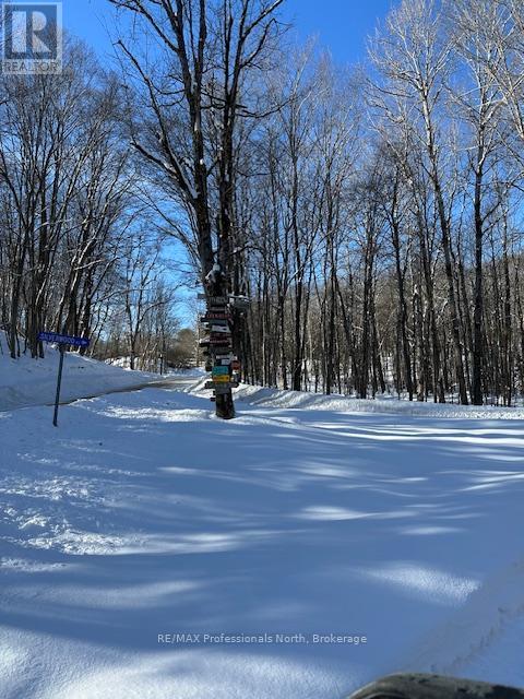 Lot Silverwood Road, Minden Hills, Ontario  K0M 2K0 - Photo 14 - X12863774