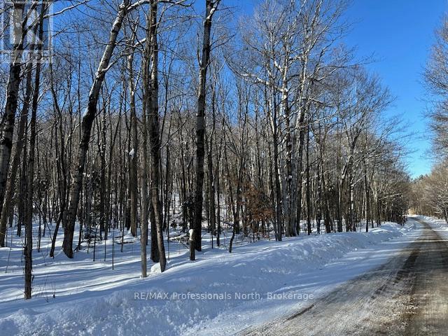 Lot Silverwood Road, Minden Hills, Ontario  K0M 2K0 - Photo 15 - X12863774