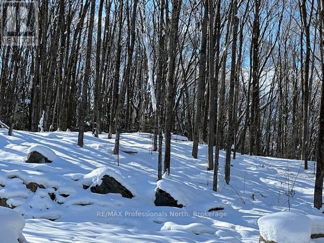 Lot Silverwood Road, Minden Hills, Ontario  K0M 2K0 - Photo 16 - X12863774