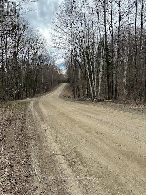 Lot Silverwood Road, Minden Hills, Ontario  K0M 2K0 - Photo 3 - X12863774