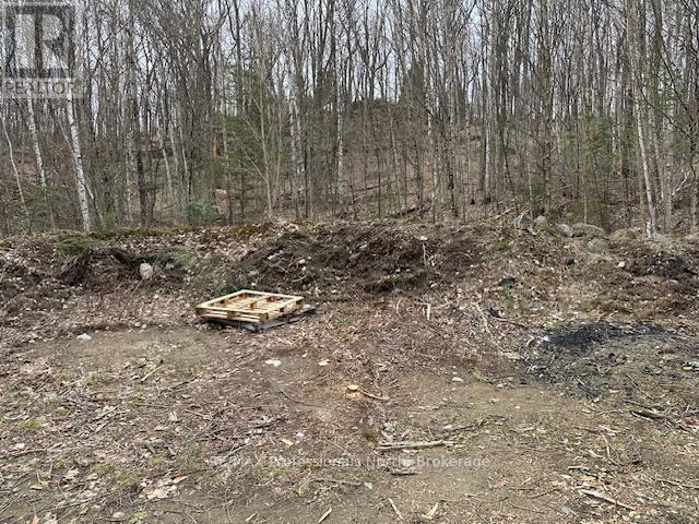 Lot Silverwood Road, Minden Hills, Ontario  K0M 2K0 - Photo 7 - X12863774