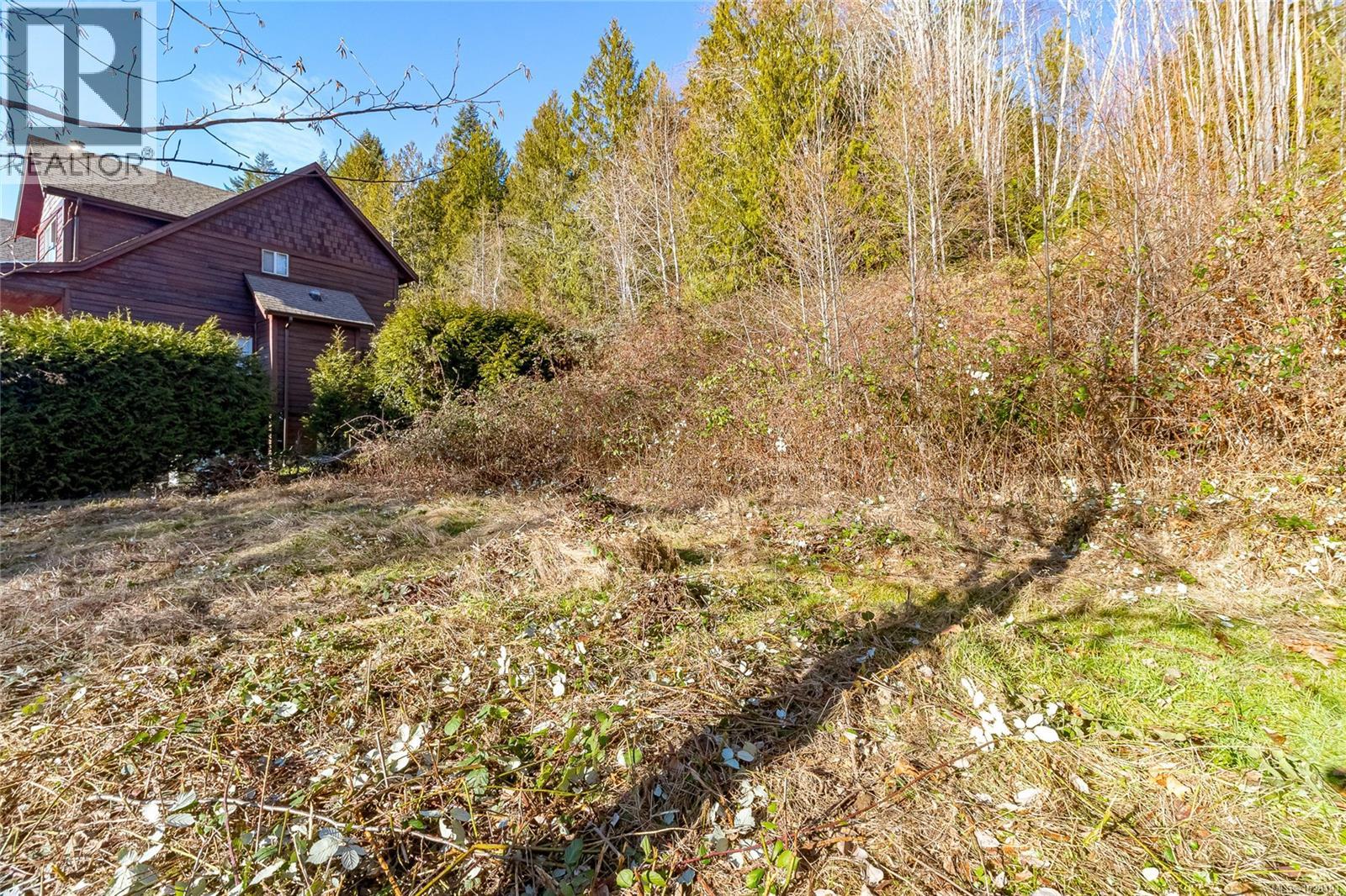 295 North Shore Rd W, Lake Cowichan, British Columbia  V0R 1Y0 - Photo 15 - 1028191