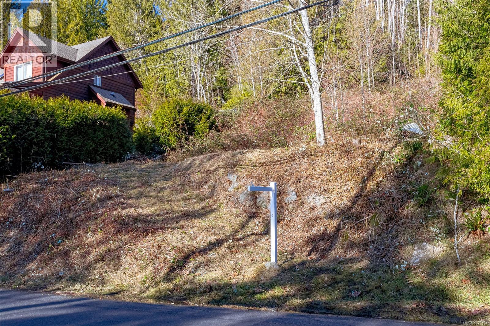 295 North Shore Rd W, Lake Cowichan, British Columbia  V0R 1Y0 - Photo 2 - 1028191