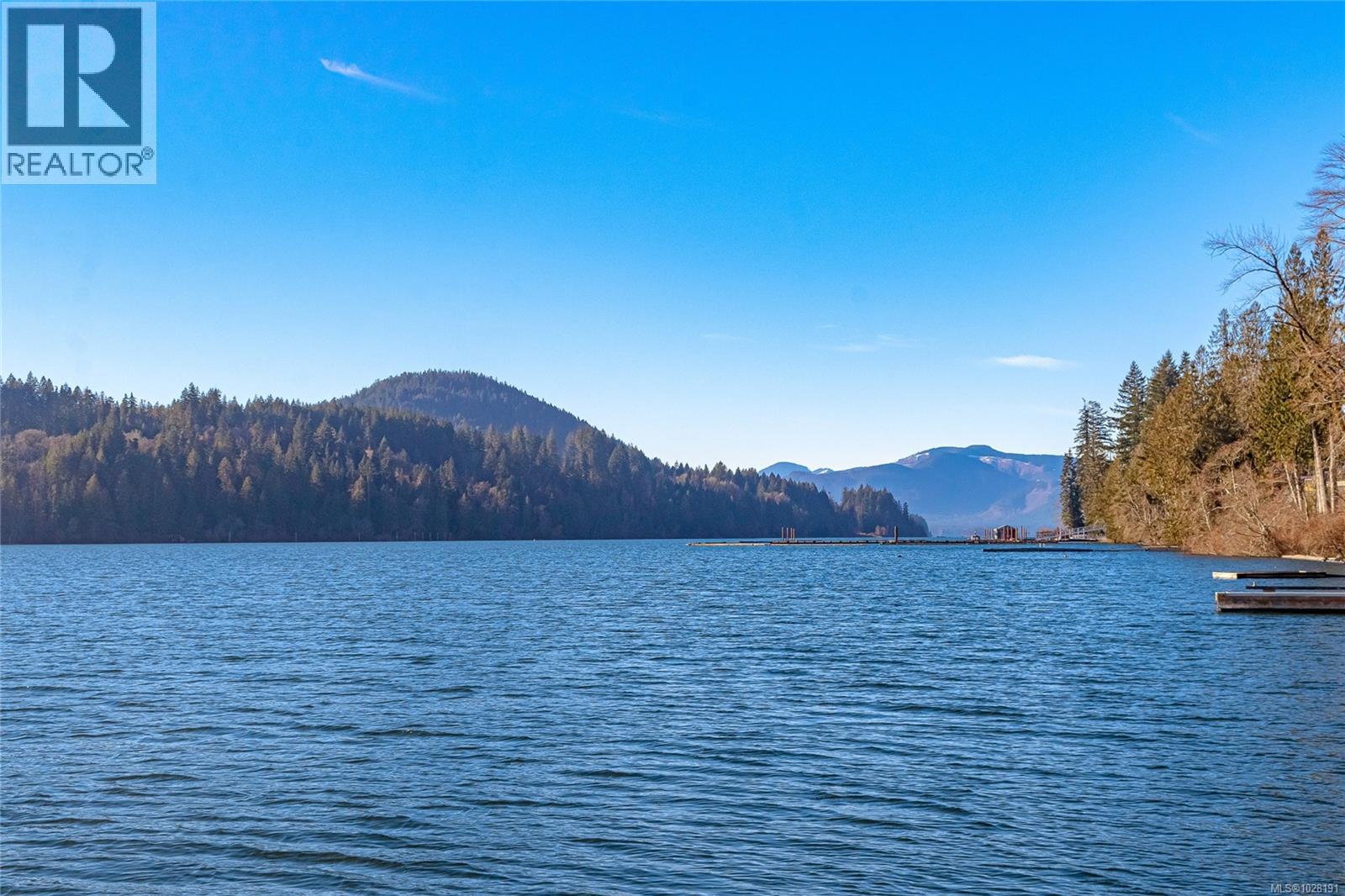 295 North Shore Rd W, Lake Cowichan, British Columbia  V0R 1Y0 - Photo 26 - 1028191